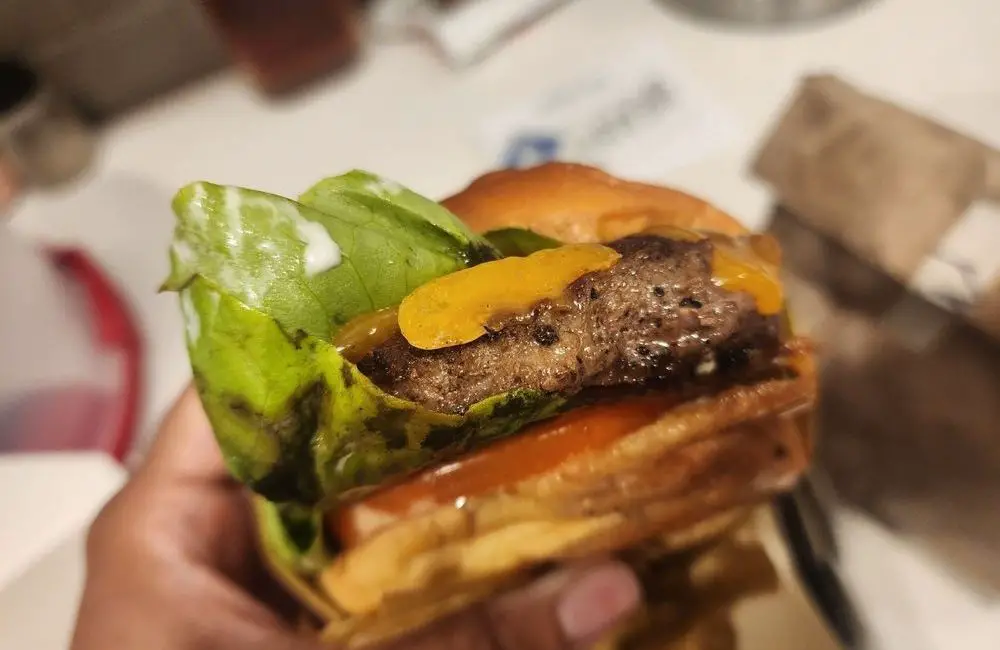 BEAUVINE BURGER CONCEPT