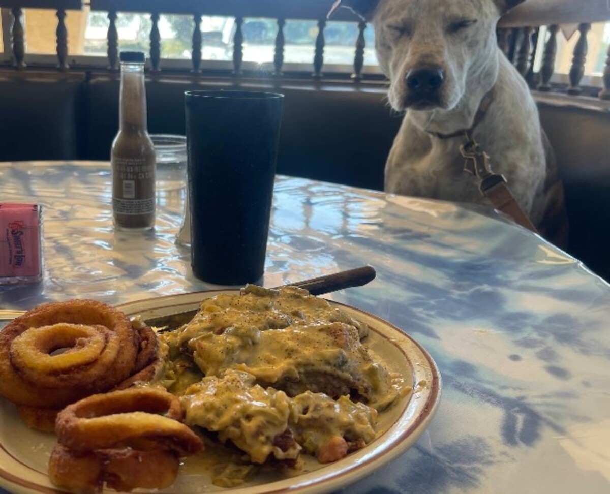 Food at The Pit Stop 292 Cafe located in Las Cruces, NM