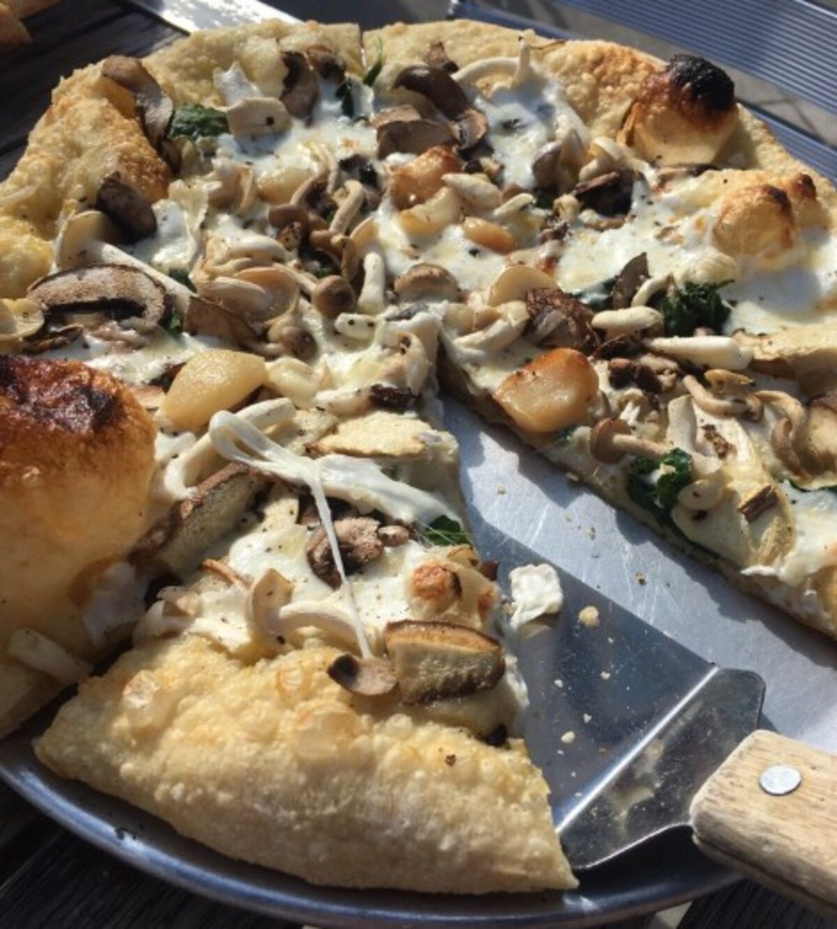 Food at Terra GR located in Grand Rapids, MI. 