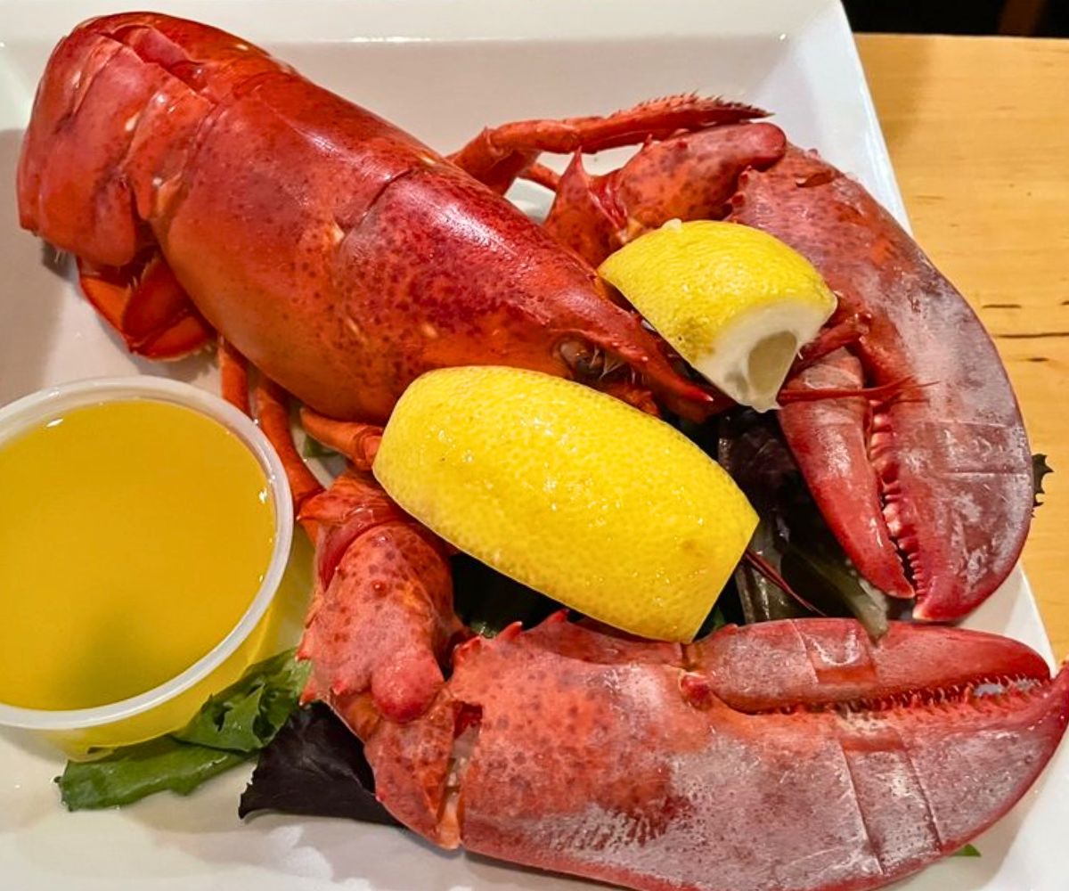Steamed Lobster at Allison's Restaurant in Kennebunkport, Maine
