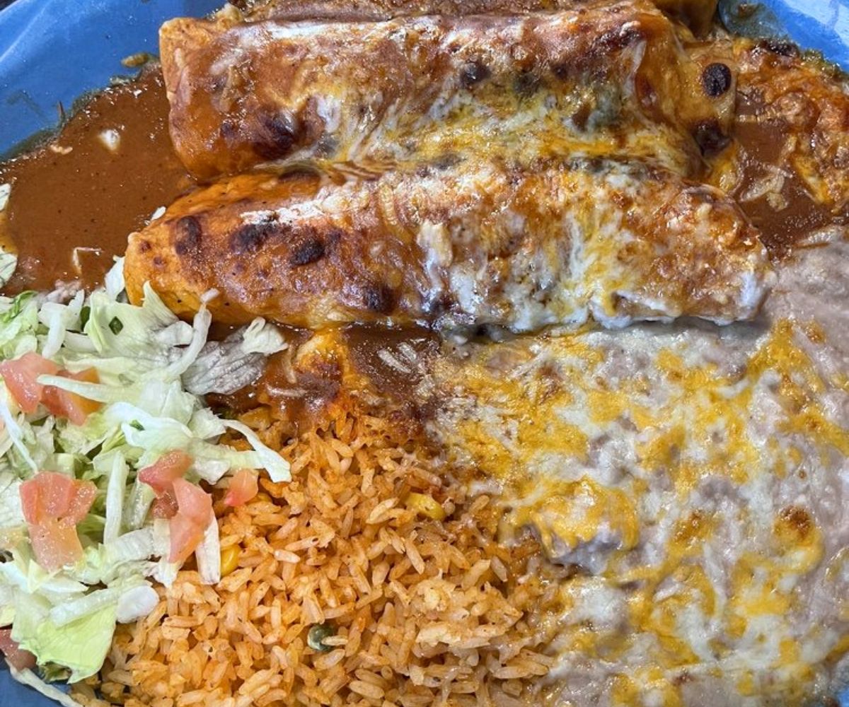 Chicken Enchilladas at Guadalajara Mexican Restaurant in Westminster, Colorado