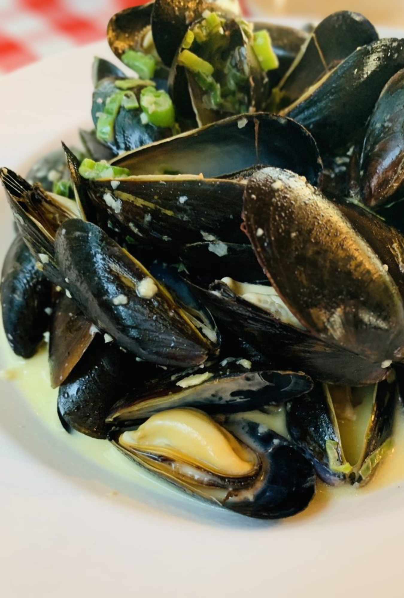mussels at pia's trattoria in gulfport Florida