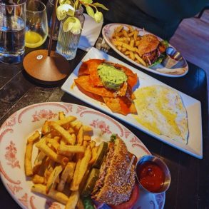 Photos for Little Owl