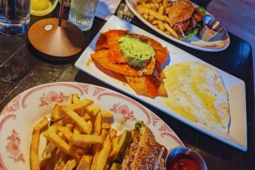 Photos for Little Owl