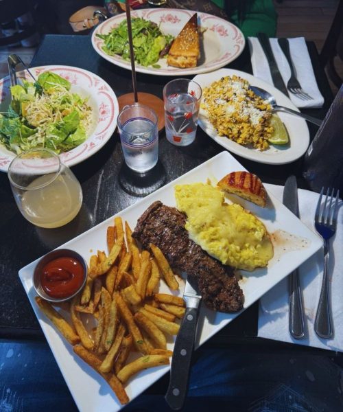 Photos for Little Owl