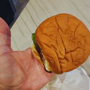 Burger Hut - Tiny Burger