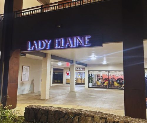 Lady Elaine - Store Logo