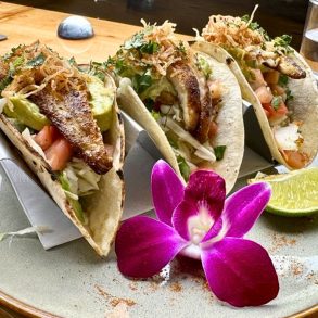 Haddock Tacos at State Lunch in Augusta, Maine