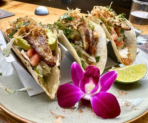 Haddock Tacos at State Lunch in Augusta, Maine