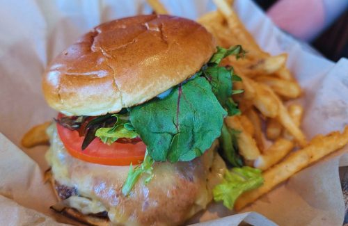 Photos for Lazy Dog Restaurant & Bar