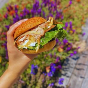 Photos for Breadbelly