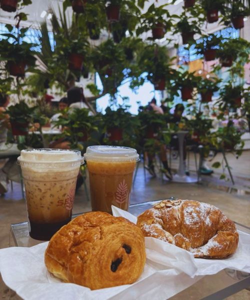 Photos for Selva Coffee House in San Diego, CA
