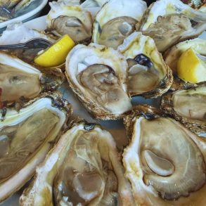 Photos for Julington Creek Fish Camp